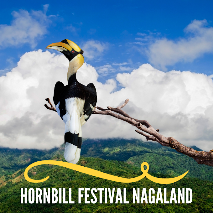 Hornbill festival 2020 December 1-10 | Download Photos, Images & Quotes