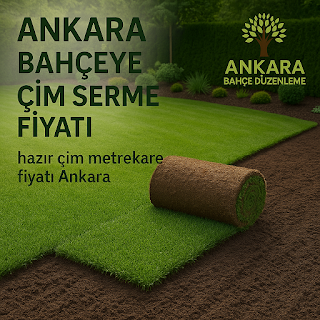 Ankara bahçeye çim serme fiyatı, hazır çim metrekare fiyatı Ankara, Ankara bahçe düzenleme, Ankara hazır çim serimi, çim serme hizmeti Ankara, rulo çim fiyatı Ankara