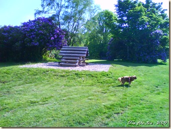 DSC02099