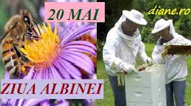 20 mai: Ziua albinei