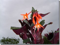 GartenBonstead_4