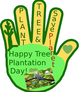Happy tree plantation day! Plant tree and save planet!