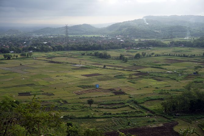 Lanscape persawahan di sisi timur Bukit Ngleseh