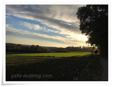 Nachmittagssonne im Herbst