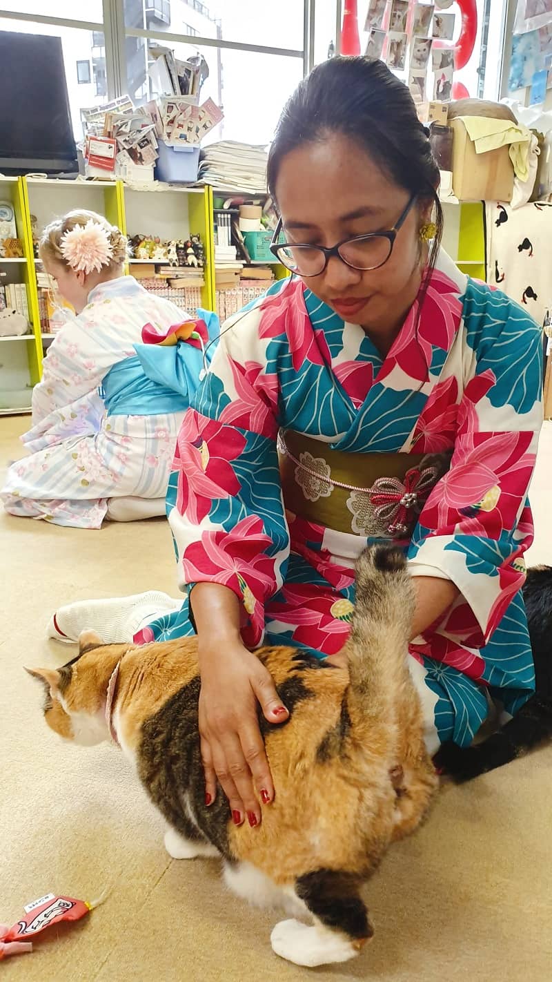 Benefits of visiting Cat Cafes