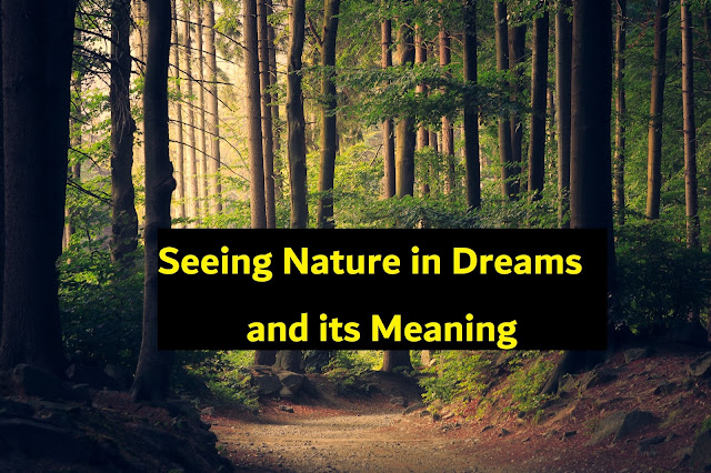 Dreams related to nature