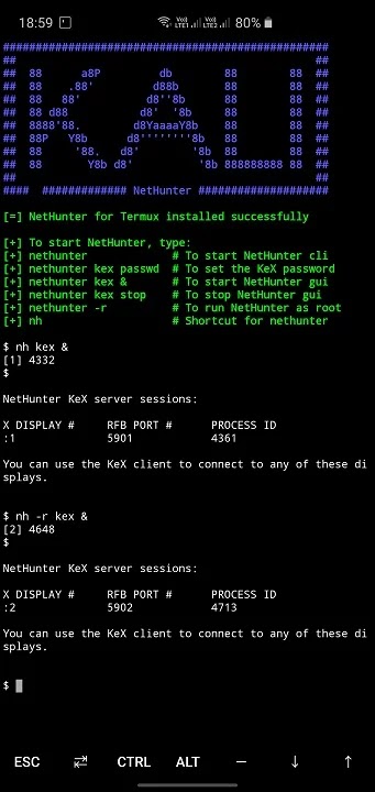 que es Kali Linux NetHunter