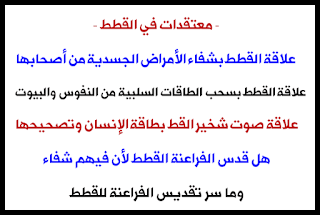 سر تقديس الفراعنة للقطط - وعلاقة القطط بشفاء الإنسان - وخرافة سحب القطط للطاقة السلبية من الإنسان