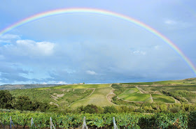 rainbow over vineyards in Orvieto Italy