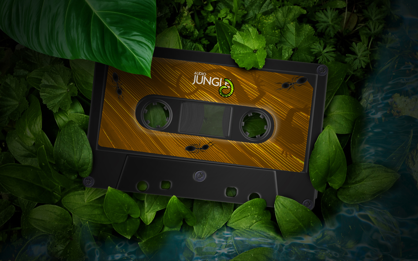 wallpapers of jungle,jungle wallpaper,jungle background,jungle theme,jungle 