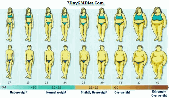 Gm Diet Ideal Weight Chart For Men Women