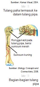 Top Konsep Pangkal Lengan, Tato Batik
