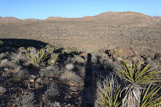 View northeast toward the Pine City area from the east flank of Negro Hill, Joshua Tree National Park