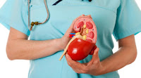 5 Important Nutrition For Keeping Your Kidneys Healthy