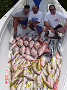 Julio, Papo, and Me - Why Knot - Bimini 05'