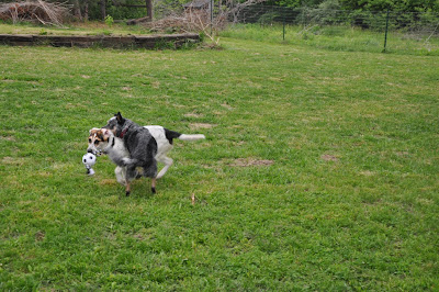 Tulsa tackler Toby