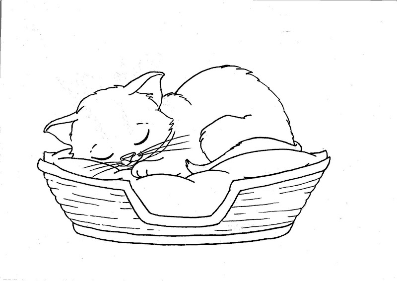 Famous Concept 38+ Cat In A Basket Coloring Page