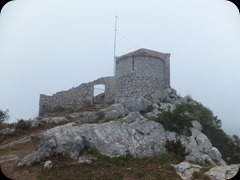 DSCF6512