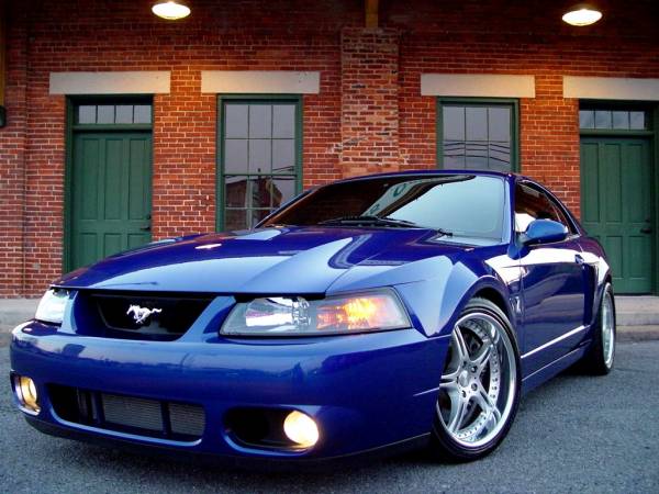 All Mustang Cobra Cars Project Pictures and Wallpapers