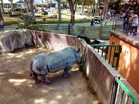 zoo de barcelona