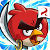 Angry Birds Fight 2015