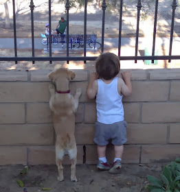 adorable dog pictures, puppy and little kid best friends