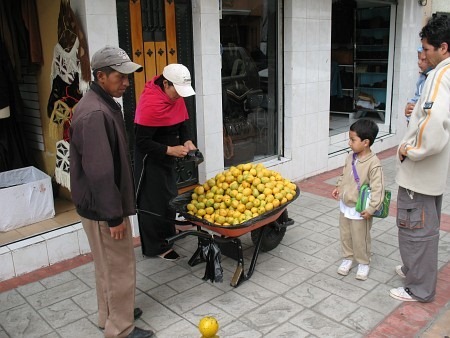 IMG_0100_450x338