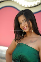 Telugu, actress, nisha, shah, latest, hot