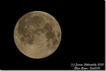 Moon_crop-0101