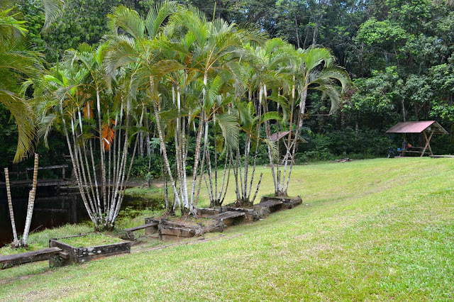 Guyane, crique morpio, se baigner, Nationale 1