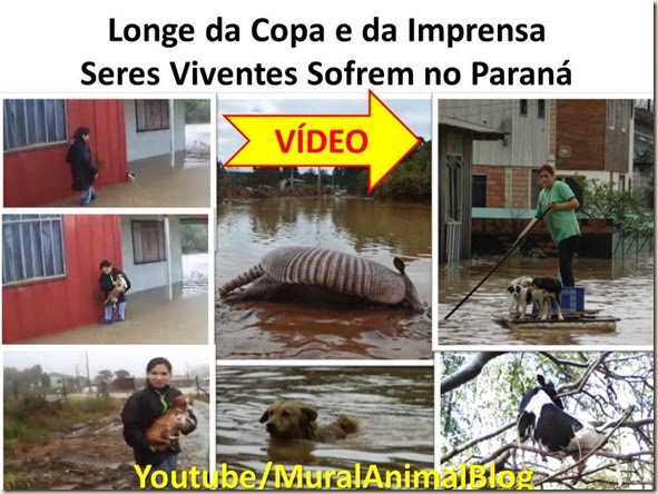 seres-parana