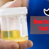 How to Pass a Drug Test in a Week (4 Steps)