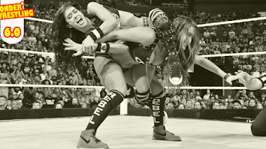Aj Lee vs Nikki Bella vs Paige en Night of Champions (2014)