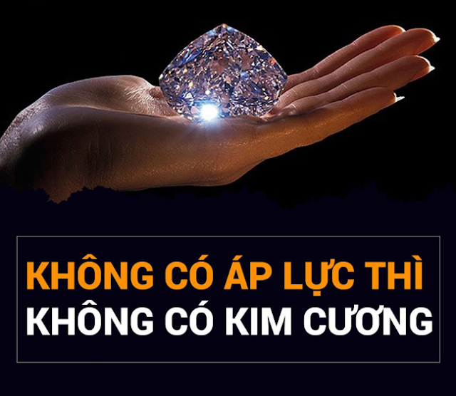 Con người sống không có áp lực sẽ không có động lực