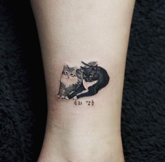 Este par perfeito de gatos Este par perfeito de gatos