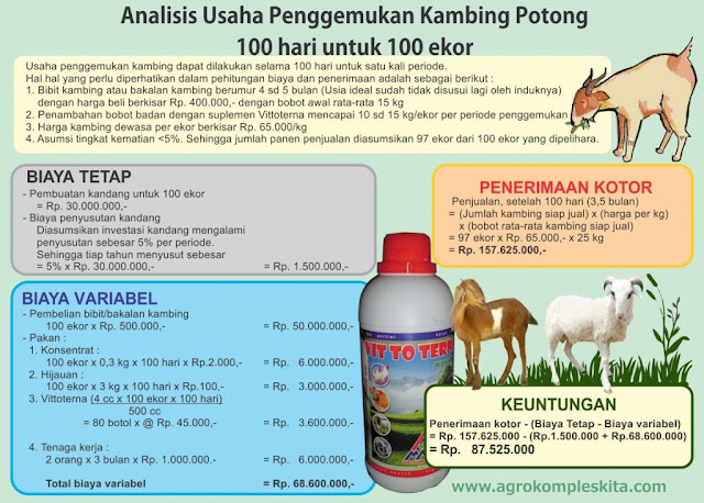 Analisa Usaha Ternak Kambing Terbaru 2017