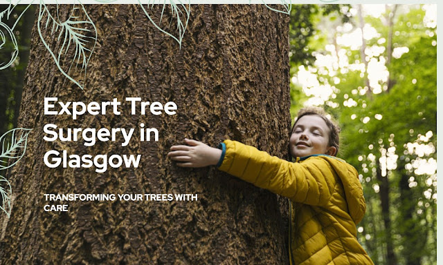 tree surgery in glasgow