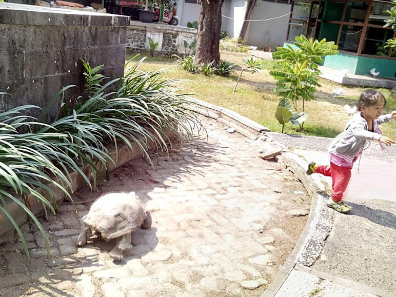 But don't run when the bigger one chases you in Taman Reptil Balekambang :D