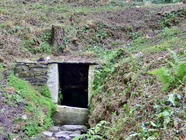 St.Just in Roseland, Cornwall Holy Well