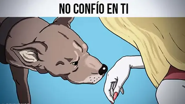 Los perros pueden reconocer a una mala persona, lo confirma la ciencia