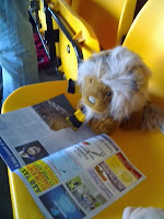 Lionel reading up on Mister Eltons visit to McDiarmid Park in the summer