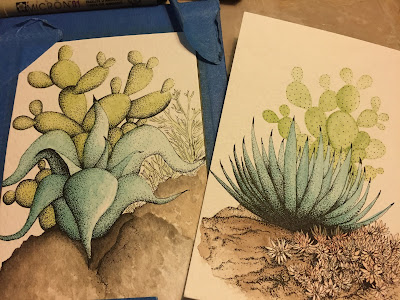 cactus, succulents, garden planters, succulent planters, Miami succulents, gardening, nature, plants, Miami, Miami garden business, garden design, watercolor paintings, art, cactus art, cactus painting