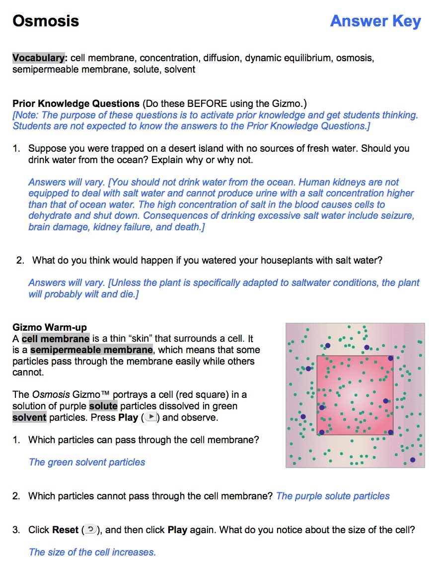 Natural And Artificial Selection Gizmo Answer Key / Student Exploration Evolution Natural And ...