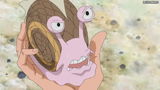 ワンピースアニメ 魚人島編 563話 電伝虫 | ONE PIECE Episode 563