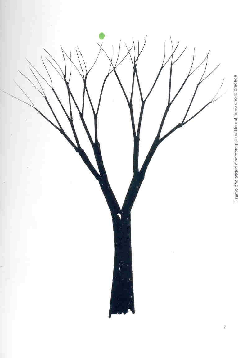 B Munari "Disegnare un albero" pag 7