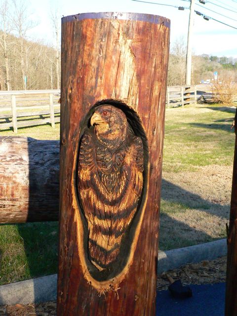 Wood Sculptures