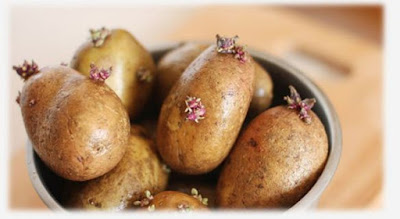 Potatoes