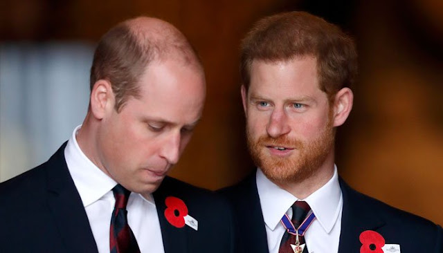 Prince Harry’s rep quashes claims of him and Prince William mishandling charity funds