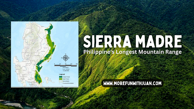 sierra madre mountain range tectonic plates involved sierra madre mountain range issue sierra madre mountain range deforestation sierra madre (philippines provinces) sierra madre mountain range philippines facts sierra madre mountain ranges is a result of what convergence how was sierra madre (philippines formed)