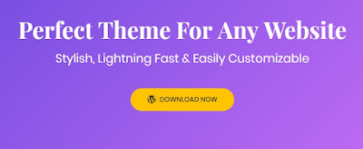 Astra Pro v3.6.11 - Extend Astra Theme With the Pro Addon Nulled